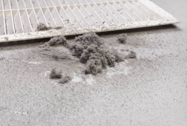 Best Affordable Duct Cleaning Services  in Beesleys Point, NJ