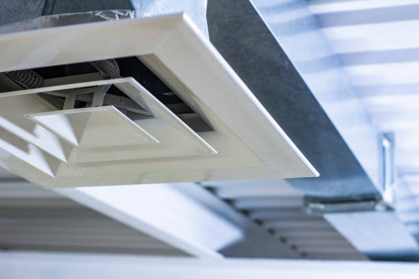 Best Air Duct Mold Removal  in Beesleys Point, NJ